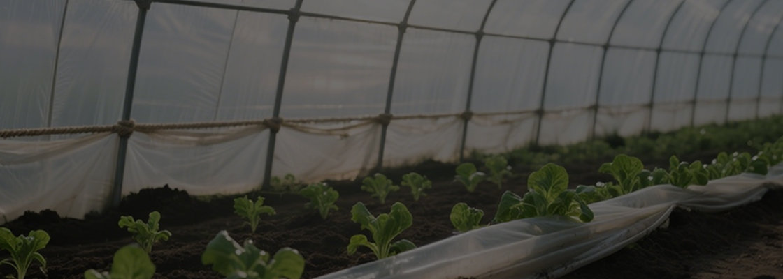 일상용 화학물질